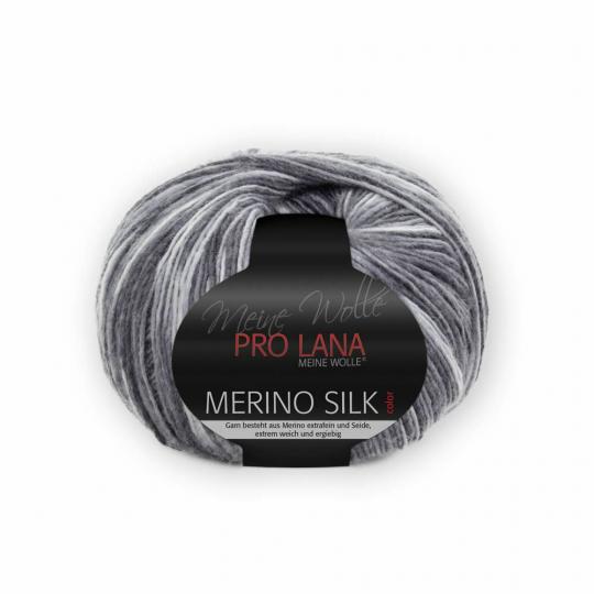 Pro Lana Merino Silk Color 
