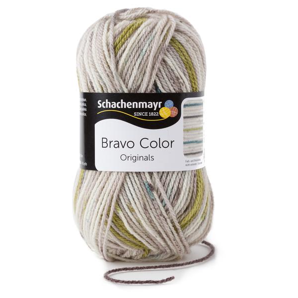 Schachenmayr Bravo Color 50g Nebel